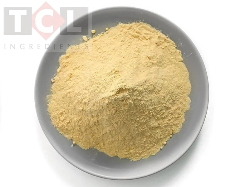 Scutellaria extract wholesale