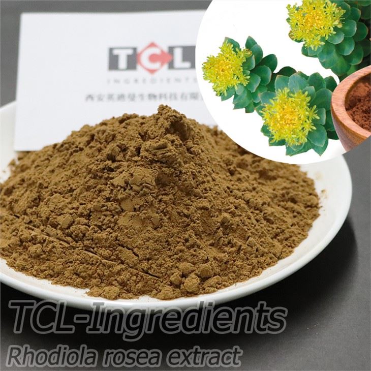 ผงสกัด Rhodiola Rosea